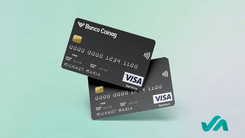 Tarjeta de Crédito Banco Coinag Visa Signature